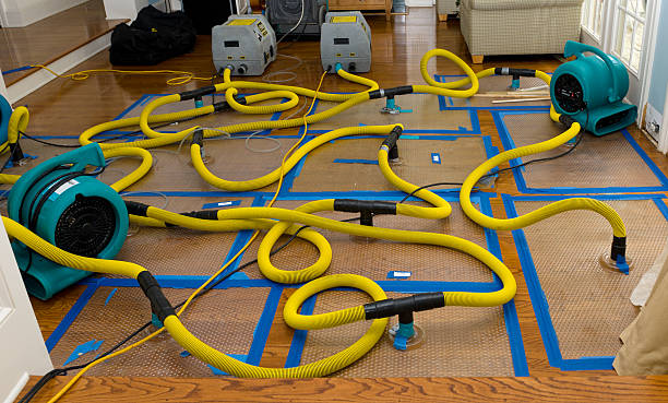 Professional Water Extraction technician working in Montauk, NY